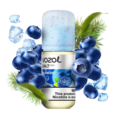 VOZOL — Blueberry Ice